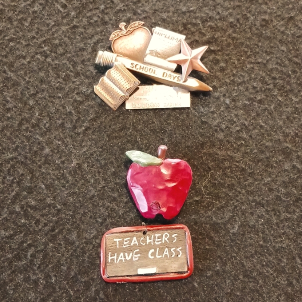 Teachers Brooches Pins Lot of 2